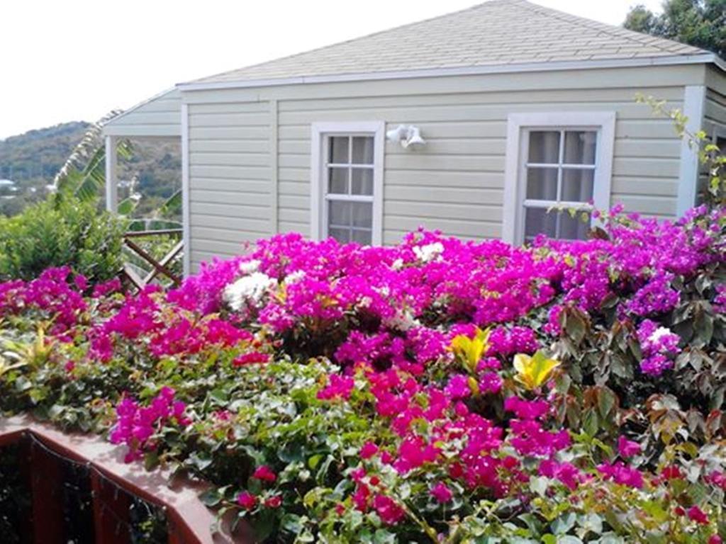 The Ocean Inn Antigua English Harbour Exterior photo